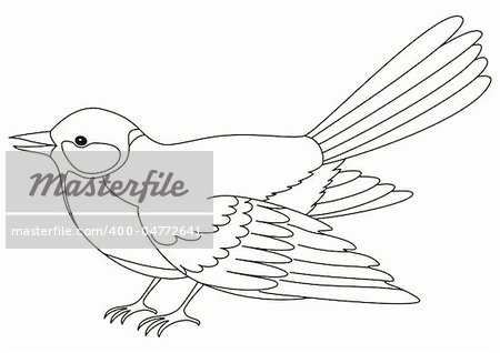 Bird a titmouse, a vector, the isolated horizontal image, contours