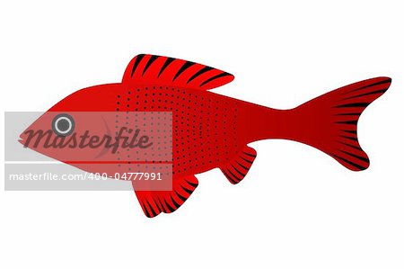 illustration of pretty fish on isolated background