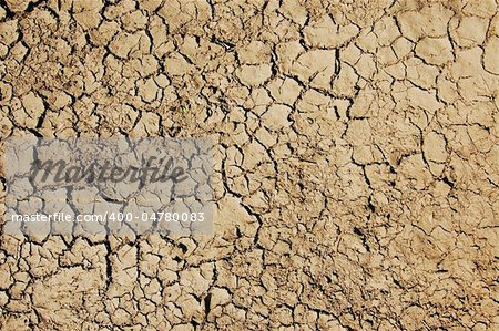 dry and cracked soil in hot summer on a farm