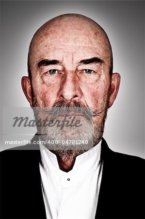 strange old  man with a grey beard - high details