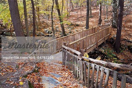 Autumn Bridge in forest with creek and foliage in woods.