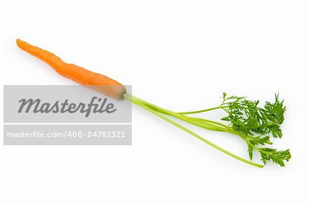 Fresh carrots isolated on the white