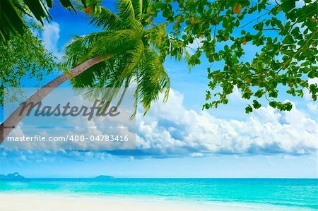 Beautiful tropical beach with palmtree on foreground