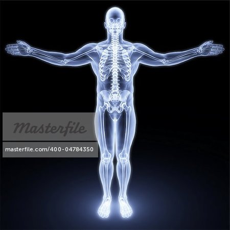 male body under X-rays. 3d render