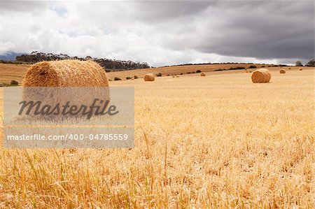 Hay bales laying in meadow under stormy skies