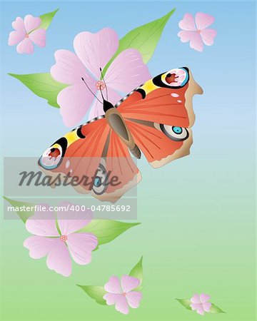 an illustration of a peacock butterfly with open wings on pink mallow flowers under a blue sky