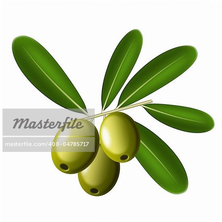 Illustration of olives on a white background