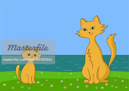 Cat mother and kitten the child sit on sea coast