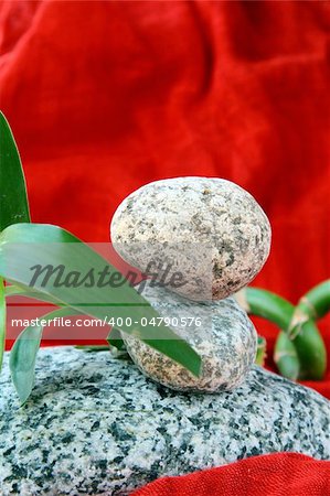 Spa concept of stones and a branch of green bamboo