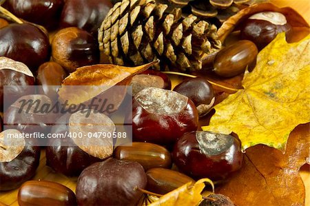 An autumn background created of leaves, cones, chestnuts and acorns