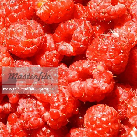 red wild raspberry macro close up