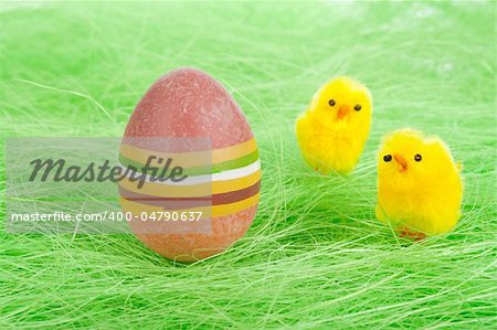 chicks and Painted Colorful Easter Egg on green Grass