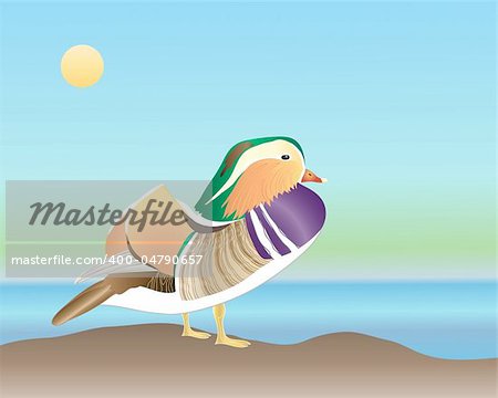 an illustration of a male mandarin duck standing by water under a blue sky an illustration of a male mandarin duck standing by water under a blue sky