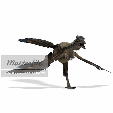 Dinosaur Archaeopteryx. 3D rendering with clipping path and shadow over white