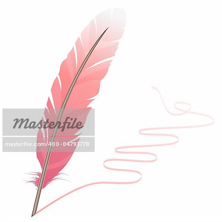 Pink feather and flourish isolated on white background