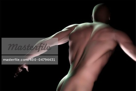 An image of a muscular male torso