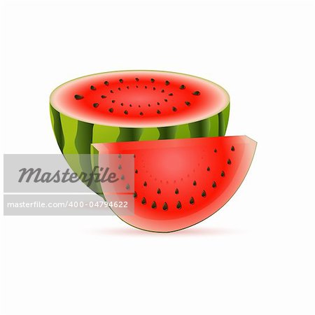 illustration of watermelon on white background
