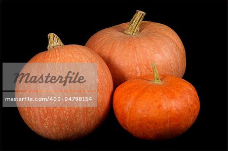 Halloweesn's orange pumpkin photo on the black background