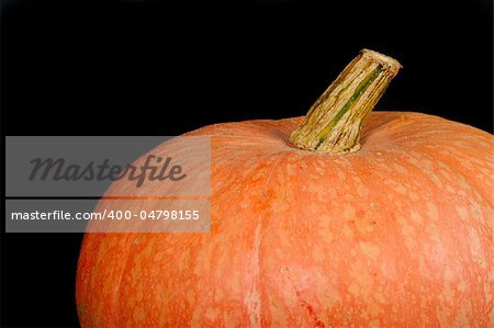 Halloweens orange pumpkin photo on the black background