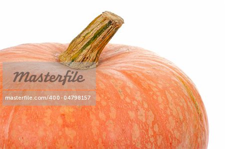 Halloweens orange pumpkin photo on the white background