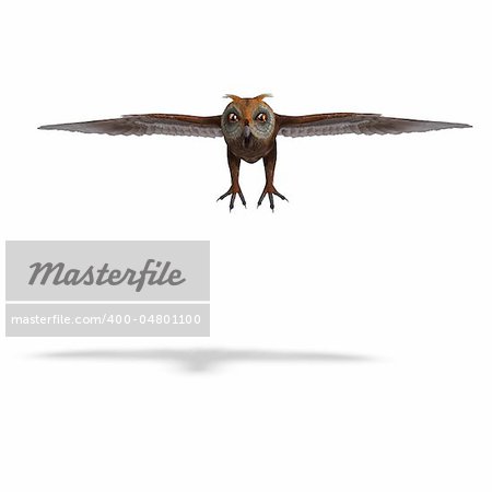 green-brown owl. 3D rendering with clipping path and shadow over white