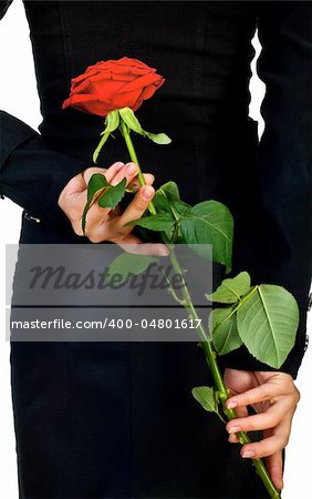 Girl in black with red rose. Isolated