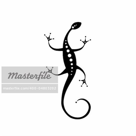 Lizard black silhouette for your design