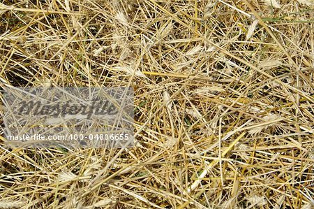 view to straw closeup as background