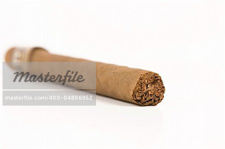 front view of havana brown cigar on white background
