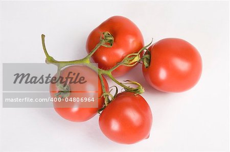 fresh red tomatoes branch, ready for salad