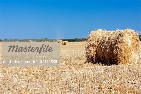 Wheat Haystacks after the harvest. Summer.