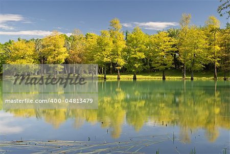 Landscape of trees with reflection on lake under blue sky.