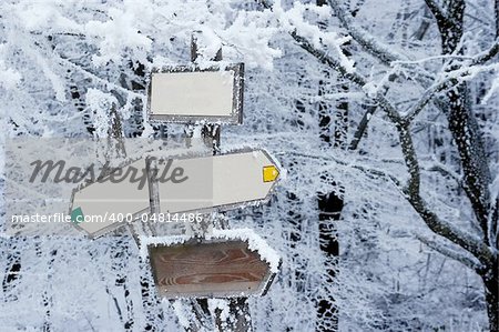 Blank direction signs in a winter forest