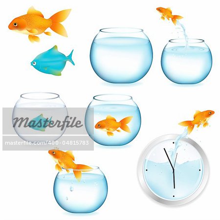 Goldfish And Aquariums, Isolated On White Background, Vector Illustration