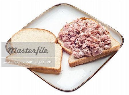 Open Face Tuna Salad Sandwich Healthy Lunch.