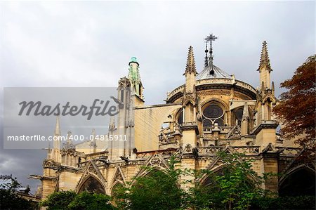 Notre Dame de Paris at day. France