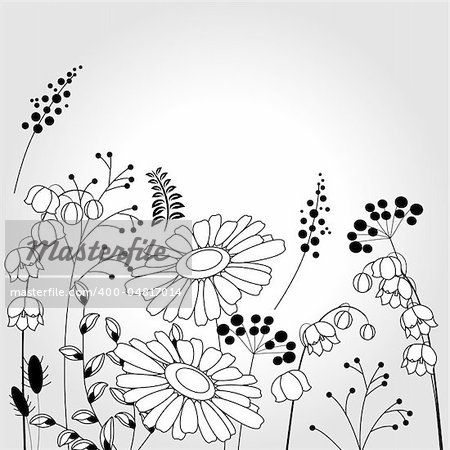 Light background with contour flowers and plants
