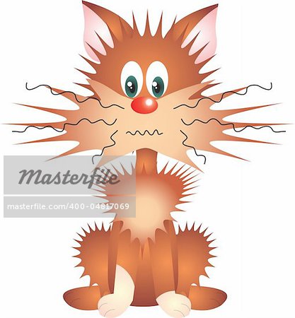 Cat isolated on white background. Vector illustration