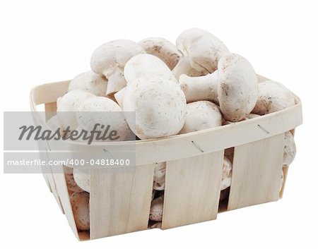 Basket with the agarics on the white