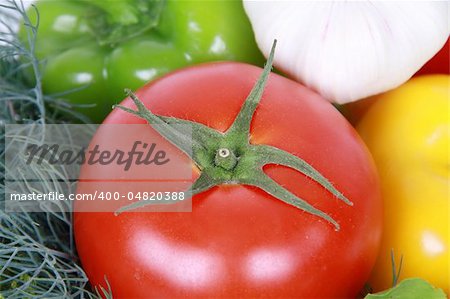 Fresh tomato against vegetable