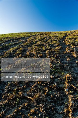 Agricultural land erosion and soil compaction in southern Brazil.