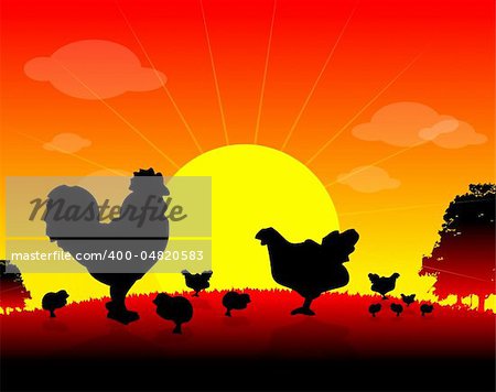 farm animals, Herd of Hens, cock, chickens on nature background, sun, tree, bird