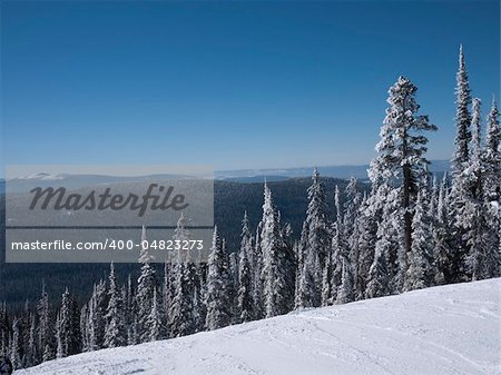 The view from the top of the ski mountain