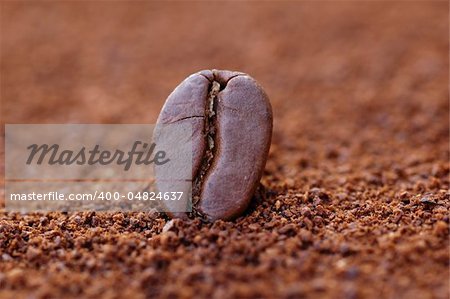 Coffee beans with focus of one