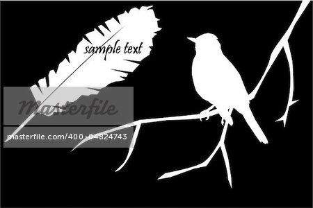 vector illustration of card with bird and feather and space for your text
