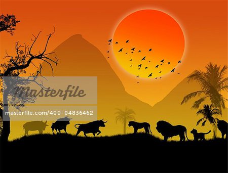 Wild animals silhouette on beautiful  landscape sunset, vector illustration