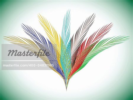 feathers fan, abstract vector art illustration