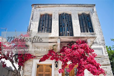 Facade of a mediterranean House with blooming Tree