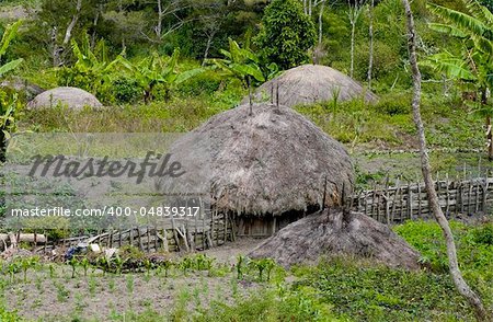 A traditional village in Papua, Indonesia