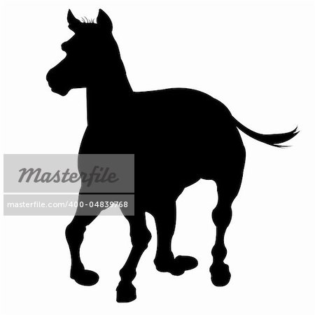 horse silhouette isolated on white background, abstract art illustration